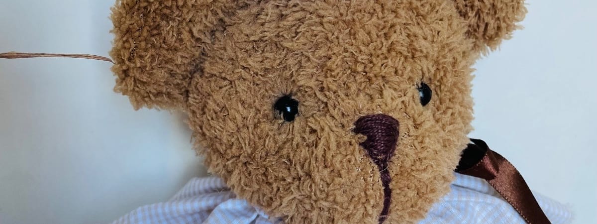Capa de Atelier do Urso