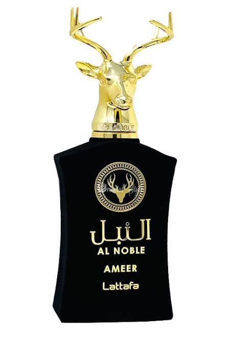 Body Splash Inspirado no Ameer - 30ml