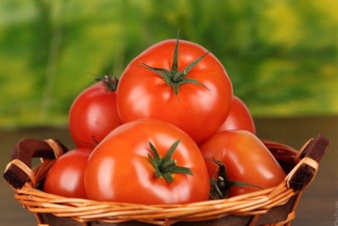 Tomate orgânico