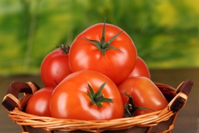 Tomate orgânico