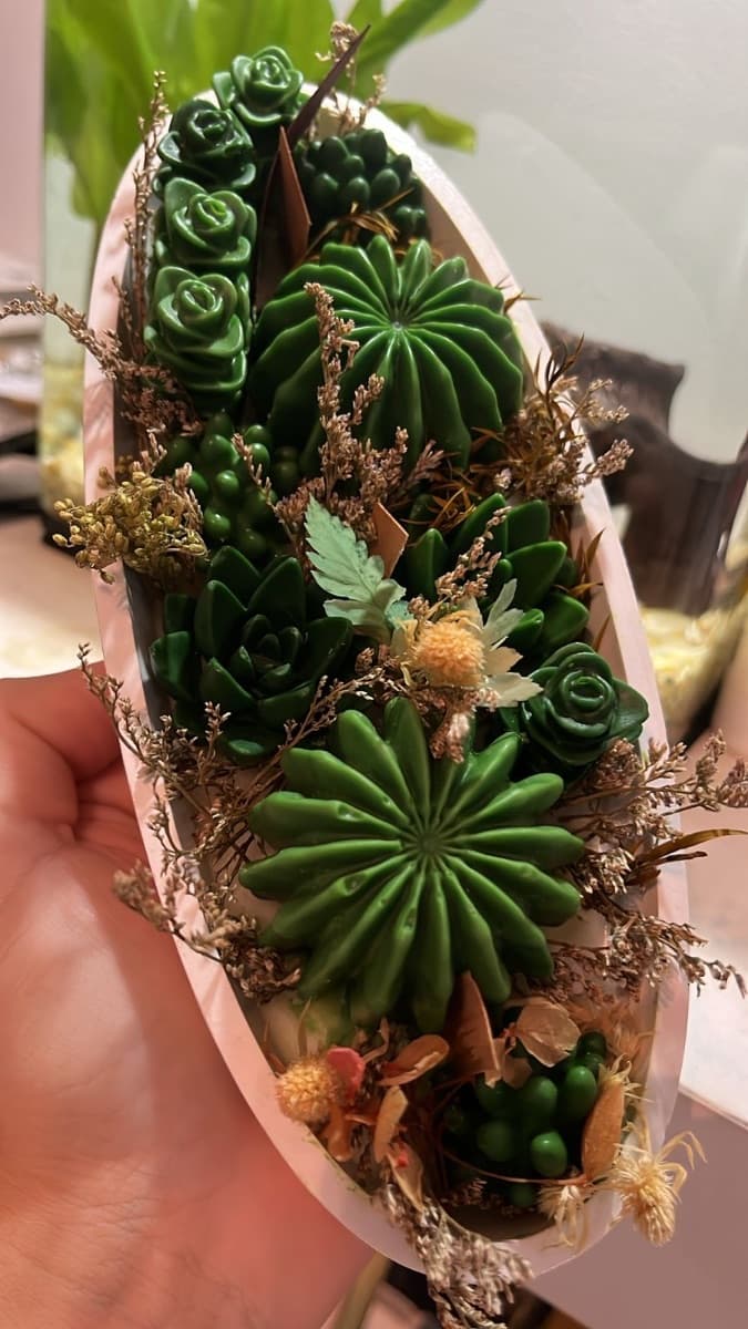 Barca terrário