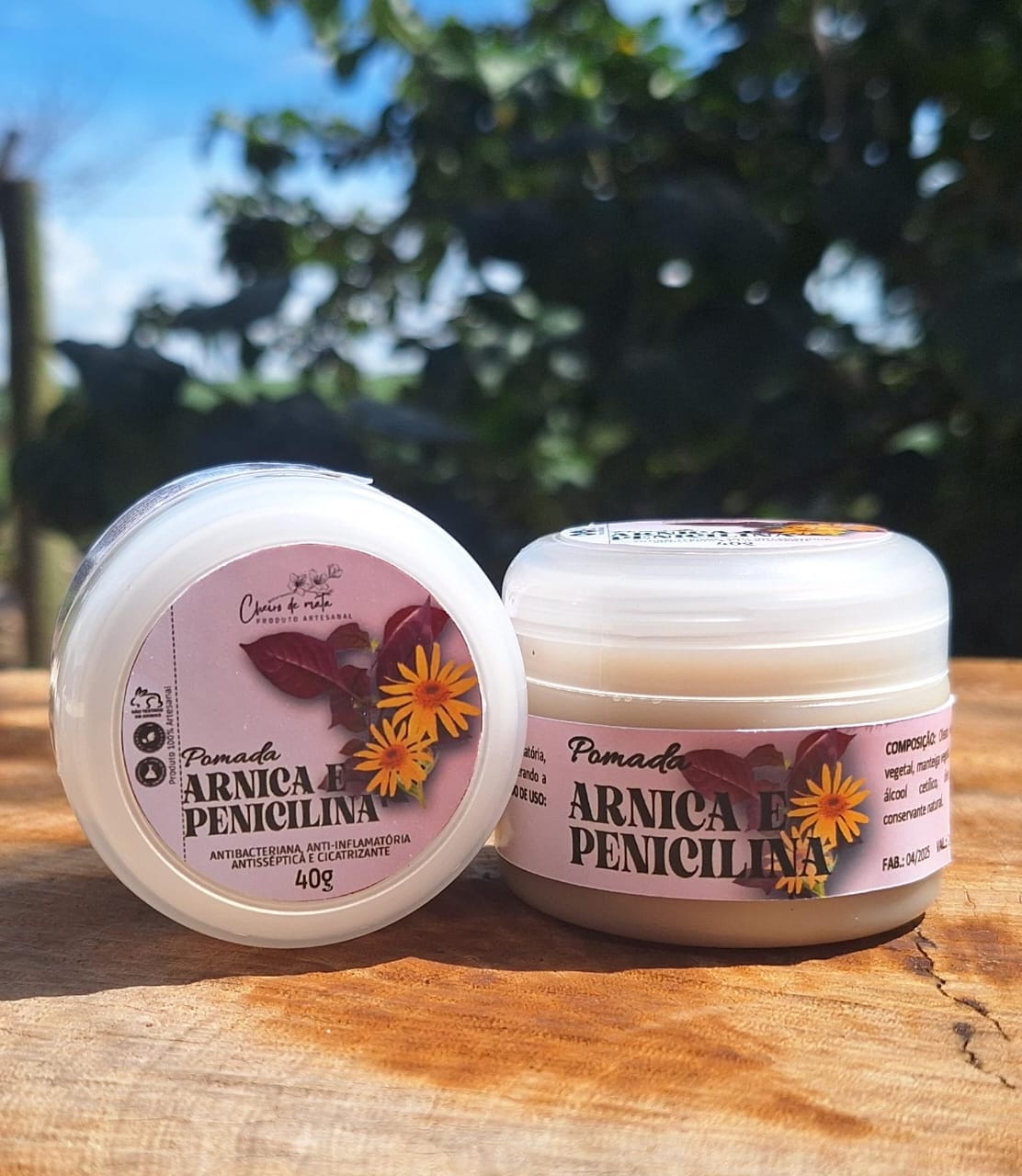 Pomada de Arnica e Penicilina – Ação Antisséptica, Anti-inflamatória e Cicatrizante ✨